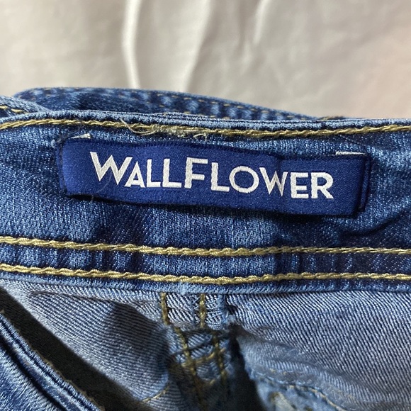 Wallflower Women’s Overalls. Size medium. Halloween:Strawberry Shortcake - Picture 7 of 8